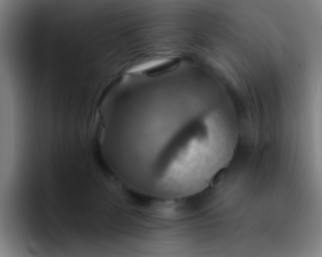 X0000093220131200710101352