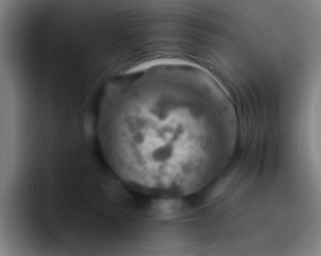 X0000093220135200710101352