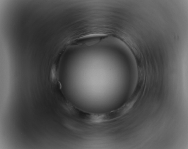 X0000093220143200710101352