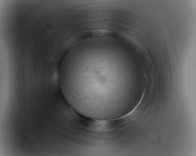 X0000093220144200710101352