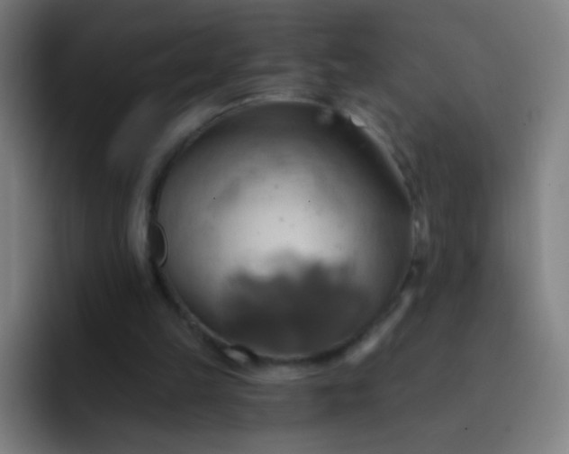 X0000093220149200710101351