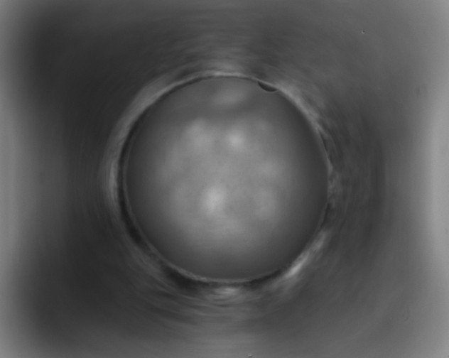 X0000093220151200710101351