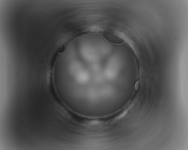 X0000093220153200710101351