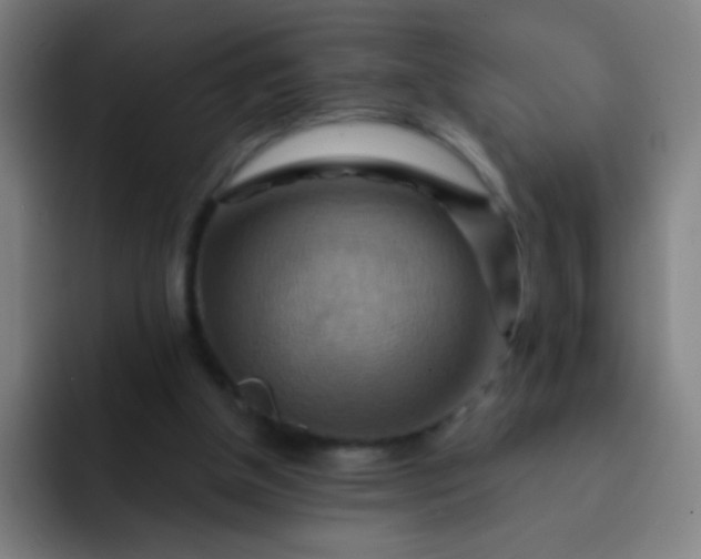 X0000093220154200710101351