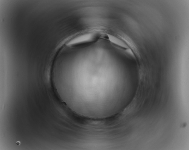 X0000093220155200710101351