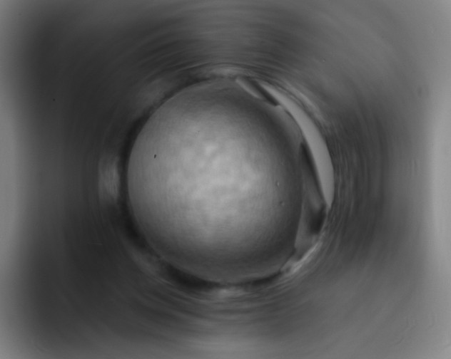 X0000093220158200710101351