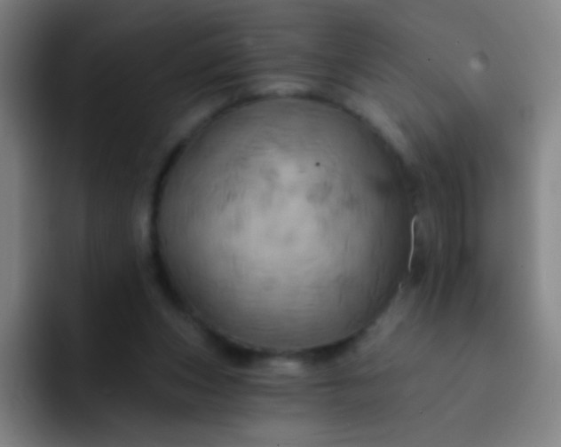 X0000093220159200710101351