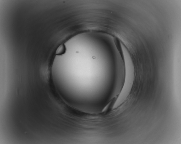 X0000093220160200710101351