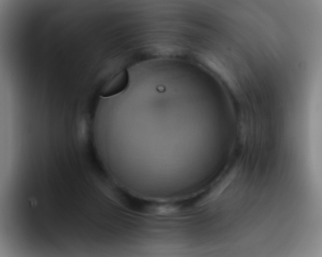 X0000093220165200710101351