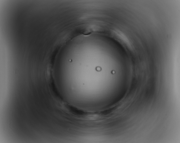 X0000093220169200710101352