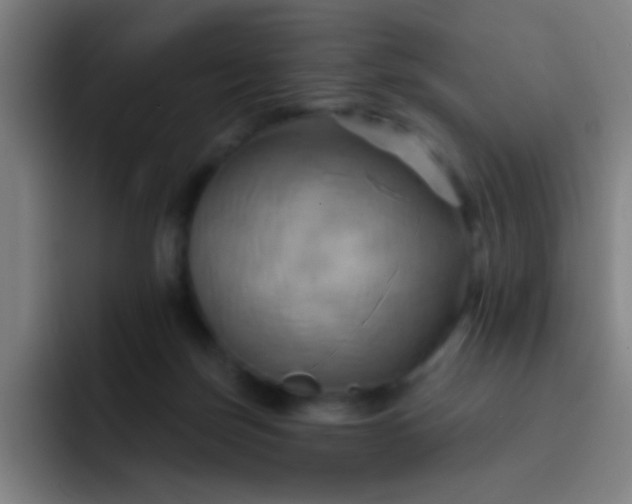 X0000093220171200710101352