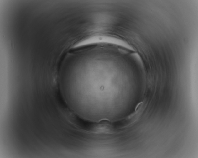 X0000093220175200710101352