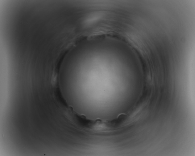 X0000093220177200710101352