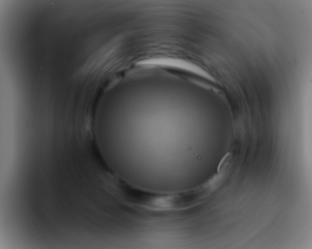 X0000093220178200710101352