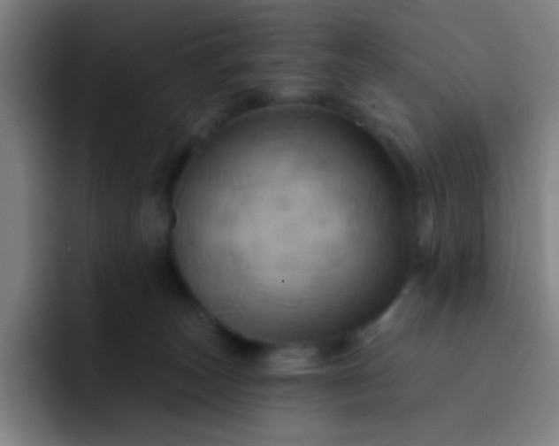 X0000093220179200710101352