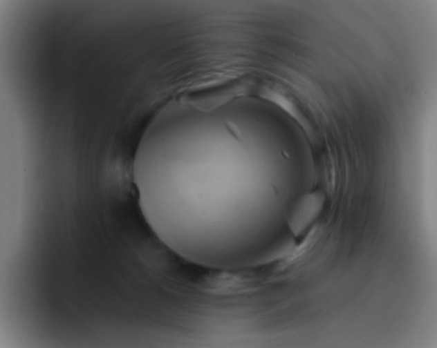 X0000093220180200710101352