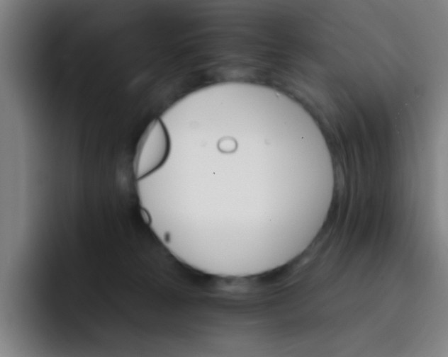 X0000093220181200710101352