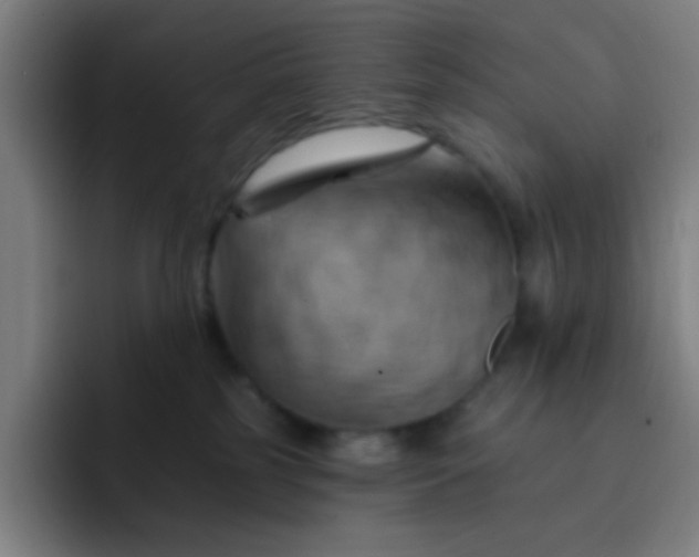 X0000093220185200710101352