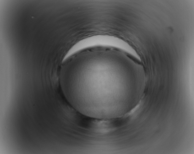 X0000093220186200710101352