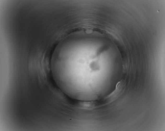 X0000093220187200710101352