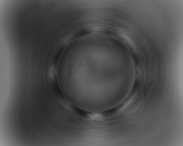 X0000093220189200710101352