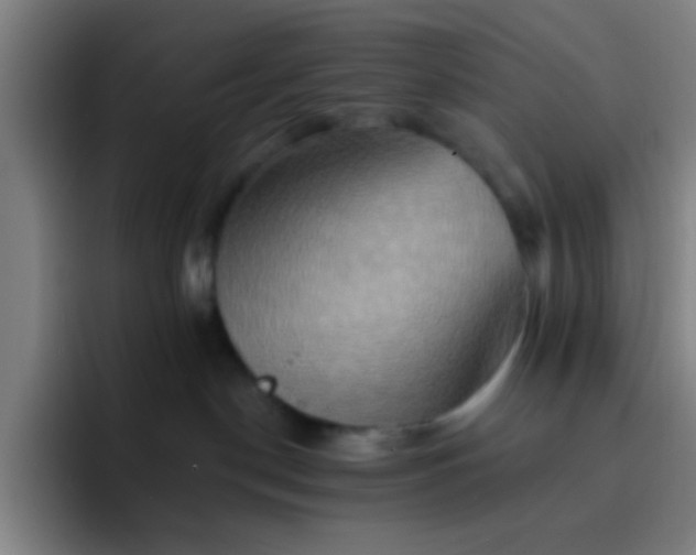 X0000093220190200710101352