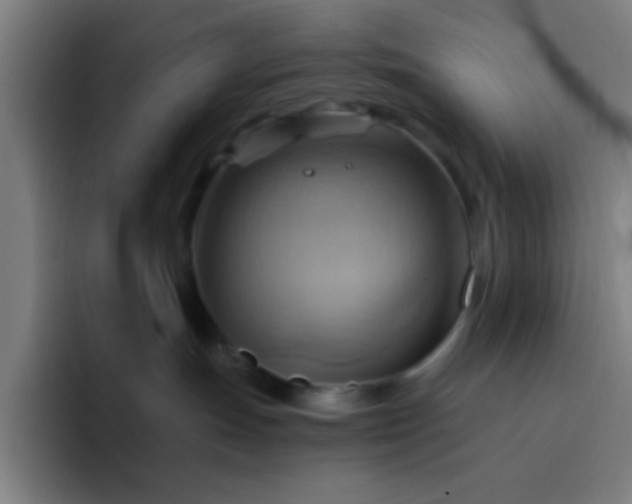 X0000093220191200710101352