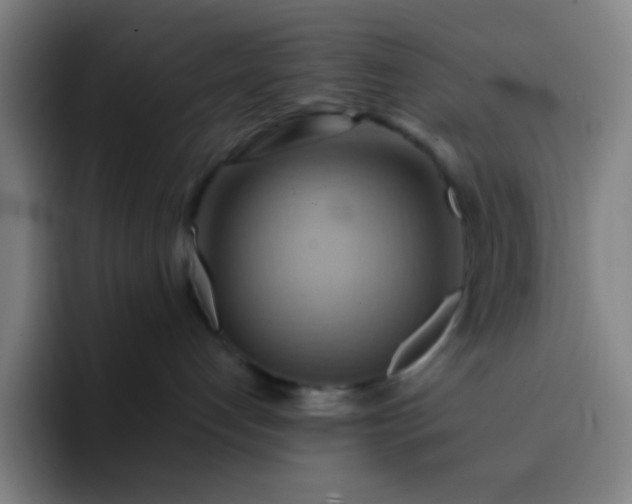 X0000093220192200710101352