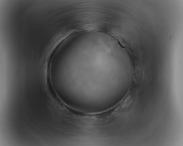 X0000093220194200710101351