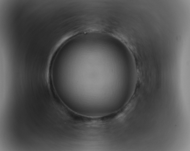 X0000093220196200710101351