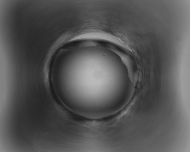 X0000093220197200710101351