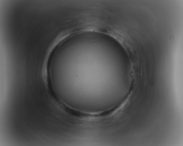 X0000093220198200710101351