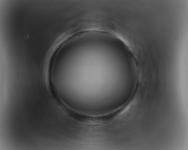 X0000093220199200710101351