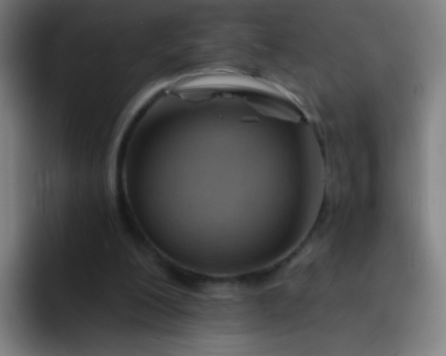 X0000093220200200710101351