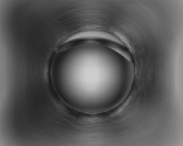 X0000093220201200710101351