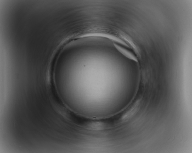 X0000093220203200710101351