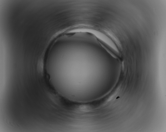 X0000093220204200710101351