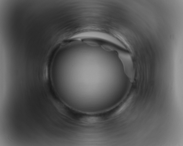 X0000093220205200710101351