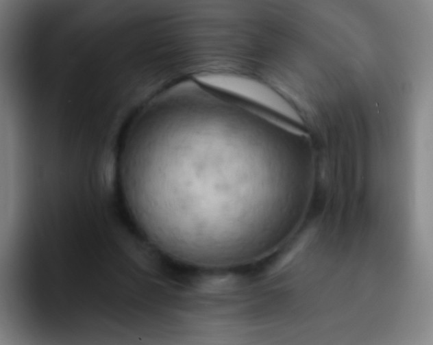 X0000093220206200710101351