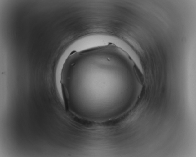 X0000093220207200710101351