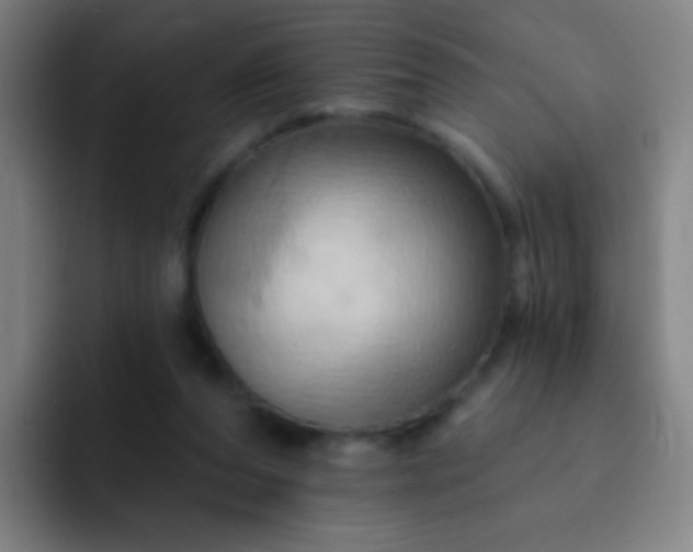 X0000093220208200710101351