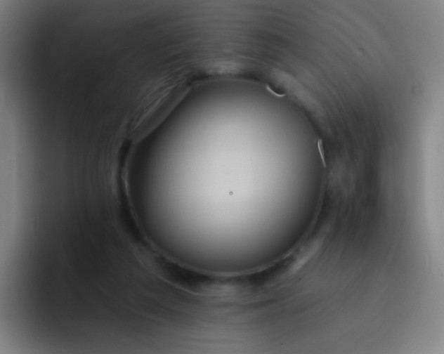 X0000093220209200710101351