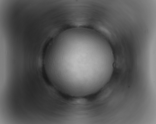 X0000093220210200710101351