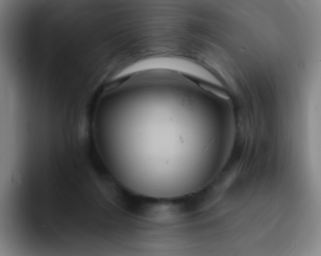 X0000093220212200710101351