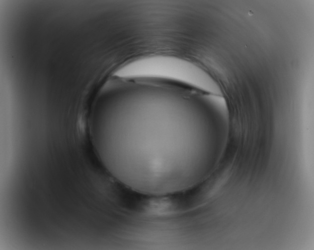 X0000093220214200710101351