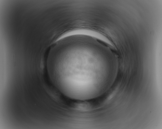 X0000093220215200710101351