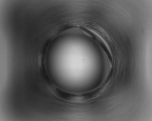 X0000093220217200710101351