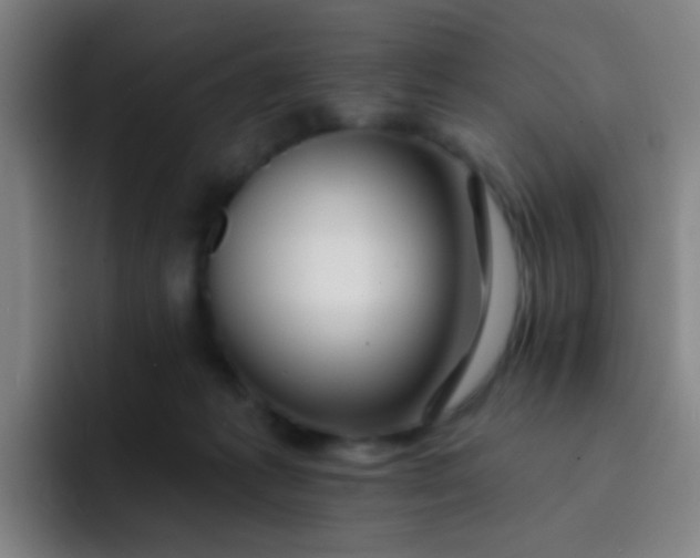 X0000093220221200710101351