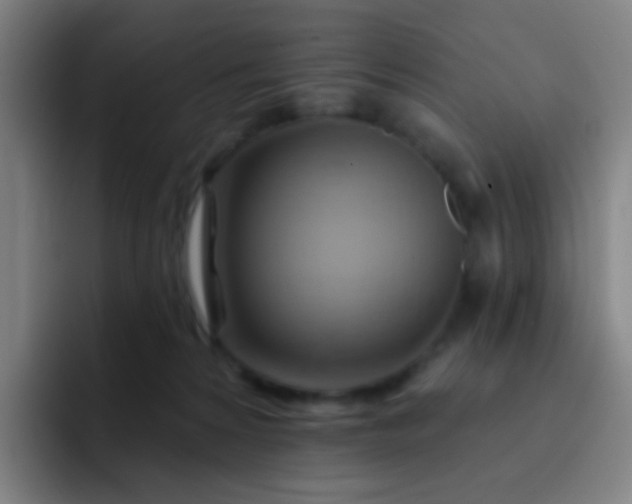 X0000093220224200710101351