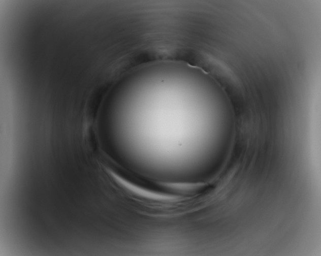 X0000093220225200710101351